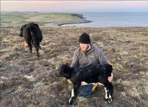 Gary with newborn calf Milligord Davie. Milligord Babsie in the background dispensing with the placenta.