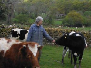 Jane and her cows.